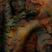 House_of_changes_by_lilituu_card