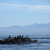 Dscn1918_copy_tiny_square