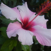 My_photos_005_card