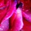 Immagine_277_thumb