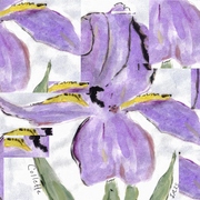 Iris_photo_fixed_oct-01-09_card