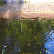 Gedc1685_card