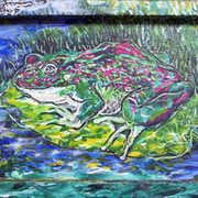 Frog_s_pad_card