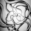 N45403480_30525582_2039_thumb