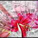Rrubyan140flourban14577_square
