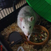 Dsc00608_card
