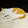 Tampok_thumb