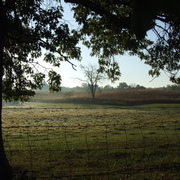 Pasture_card