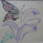 Crop_abstract_butterfly___flower_card