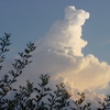 Mvc-134f_thumb