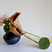 Ikebana-151_card