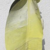 Bilder_sept_09_038_thumb