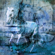 Broken_horse_card