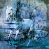 Broken_horse_thumb