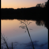Dsc_0355_thumb