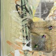 Co_14__8