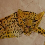 055_card
