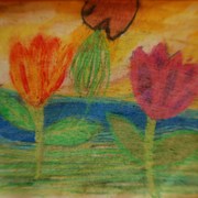 056_card