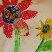 064_card