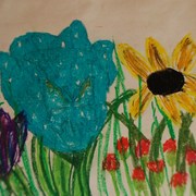 077_card