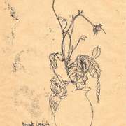 Sc0012e419-02_card
