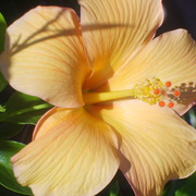 My_photos_007_card
