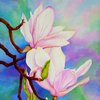 Springmagnoliabest_thumb