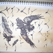 Dsci0202_card