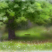 Summer_days_card