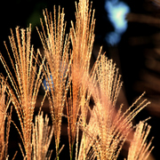 Img_7012a_card