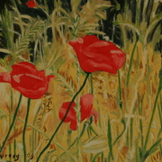 Field_poppies_30x20_card