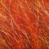 Warm_grass_thumb