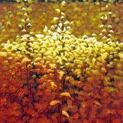 Leaf_veils_card