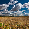 Seelow_feld_thumb