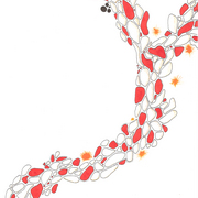 Red_dots_card