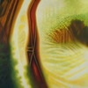 Celtic_glow_-_oil_on_canvas_thumb
