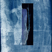 Body_and_tree_copie_card