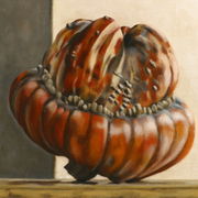 Artbreakturk_s_cap_gourd_card