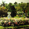 60_x_80_cm_el_rosedal_-_127_thumb