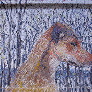 Canine_stare_card