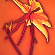 The_spirit_of_columbine_card
