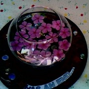 153105_card