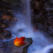 Autumn_light_card