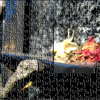 Img_1306_copia_thumb