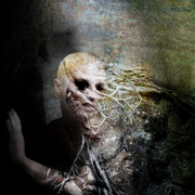 Blind_man_card