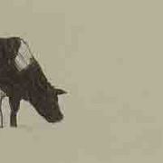 92_poor_cow_card