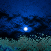 Spring-tide-01_card