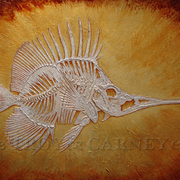 Untitled_fishwm_card
