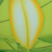 Eden_leaf_hi_res_card