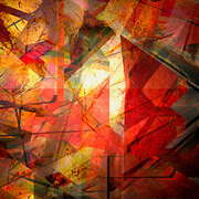 Entropy_card